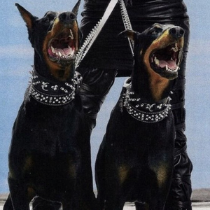 久久99综合国产精品亚洲第二
