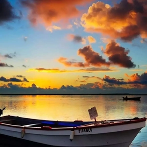 久久99综合国产精品亚洲第二
